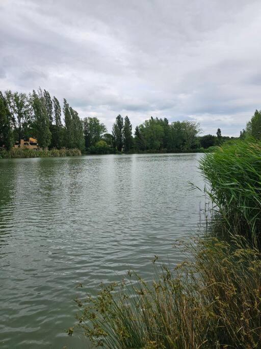 Appartement 50M2 Village Vacances Arles Eksteriør bilde